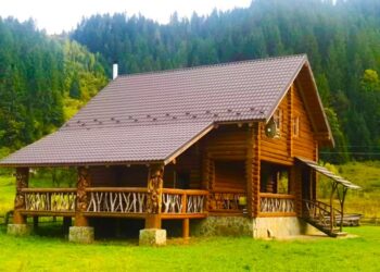 Эволюция кровли в Украине: как и чем крыли крыши разные поколения украинцев