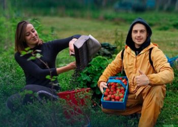 Правила працевлаштування у Польщі: корисна інформація для претендентів