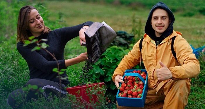 Правила працевлаштування у Польщі: корисна інформація для претендентів