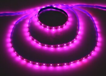 Фитолента для выращивания рассады: влияние света на здоровье растений