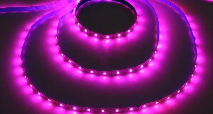 Фитолента для выращивания рассады: влияние света на здоровье растений