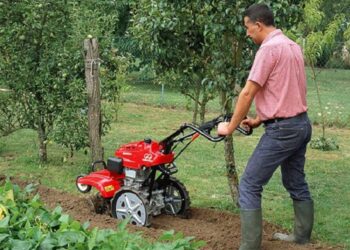 Как выбрать двигатель для мотоблока и его применение