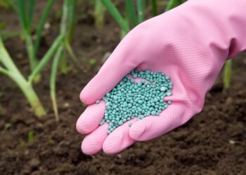 Мінеральні добрива: основні складові та застосування