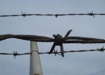 Основные характеристики и требования монтажа колючей проволоки